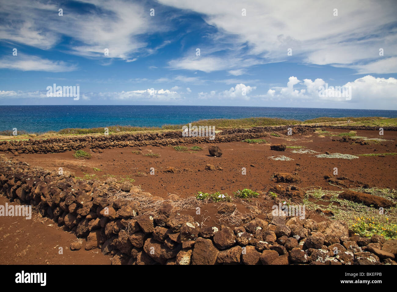 Los birthstones del rey Kamehameha en Kokoike,Hawaii. Foto de stock