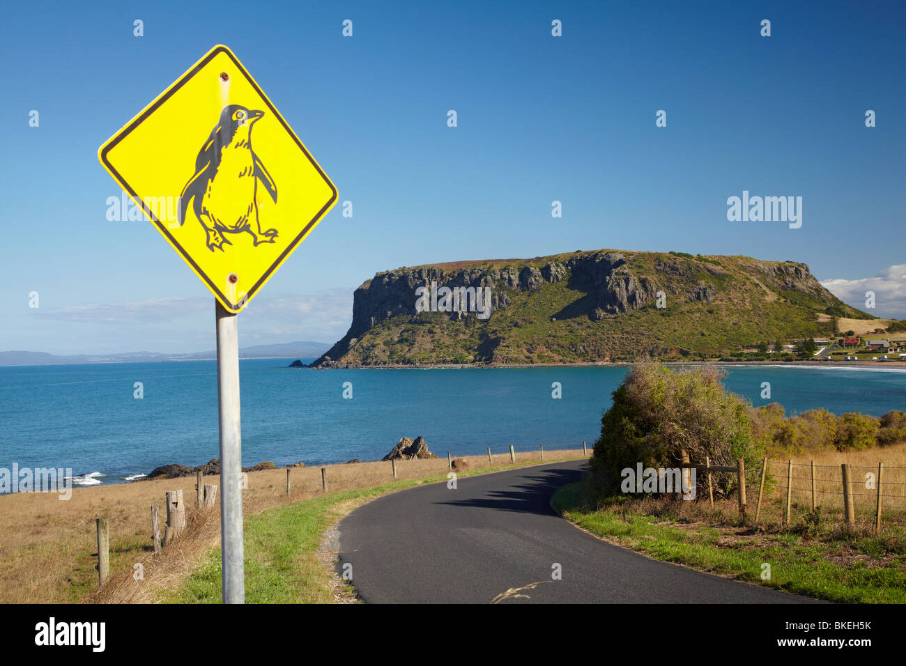 Penquin señal de advertencia, y la tuerca de cabeza circular, Stanley, noroeste de Tasmania, Australia Foto de stock