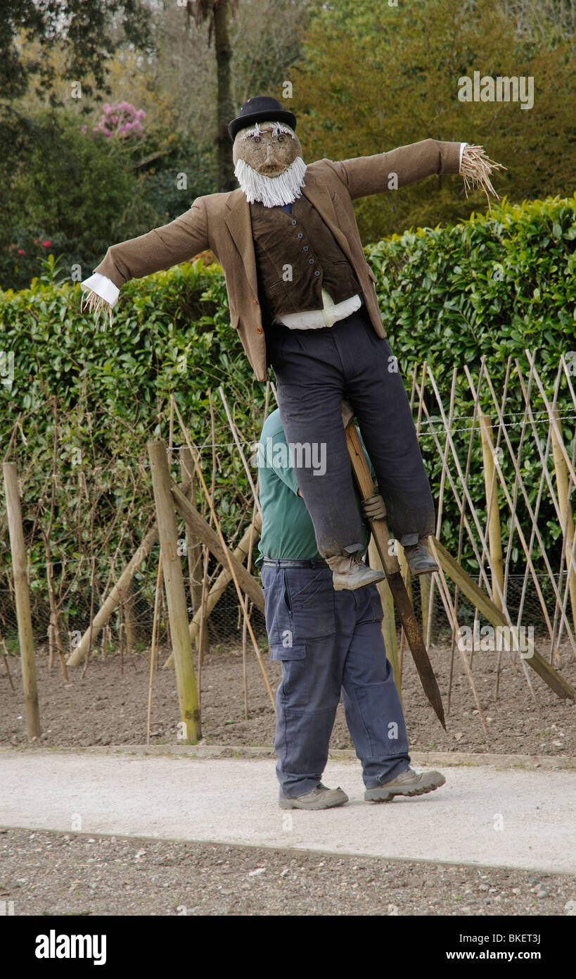 Jardinero moviendo un espantapájaros antes de cavar y plantar Jardines Heligan fuera verduras en Cornualles, en el oeste del país Inglaterra Foto de stock