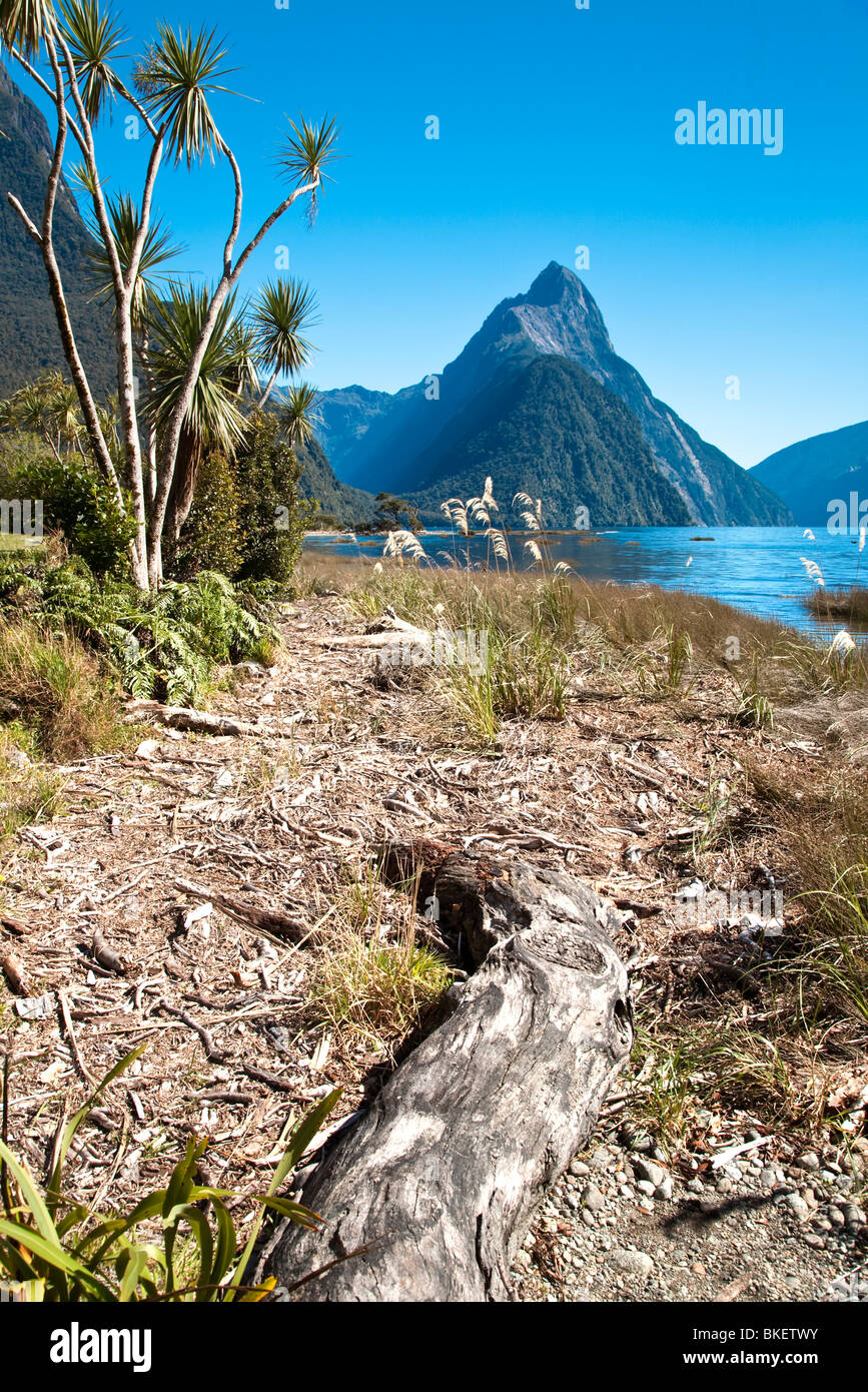 Cordillera con lago y driftwood, Mitre Peak, Milford Sound, Isla del Sur, Nueva Zelanda Foto de stock