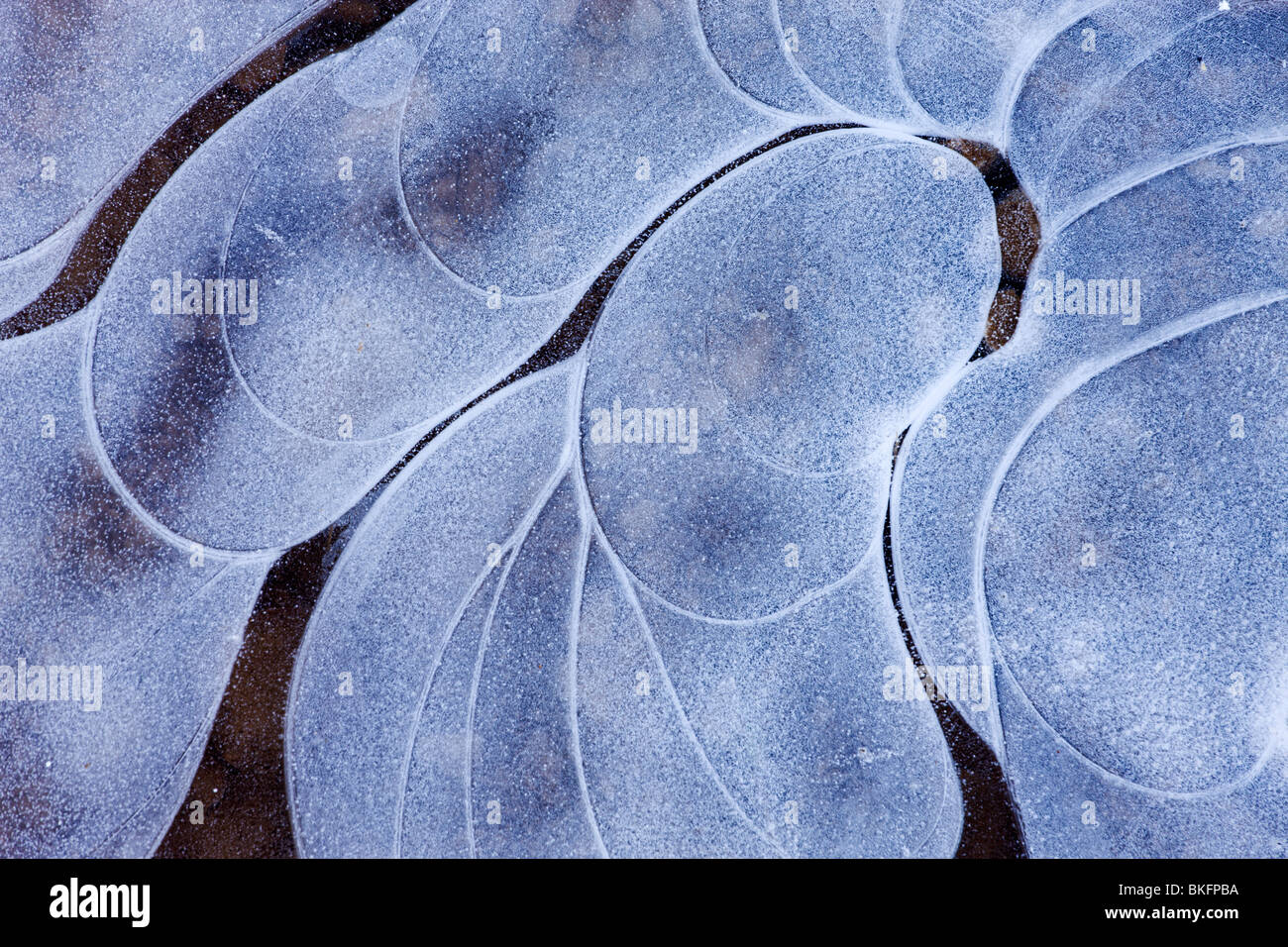Patrones de hielo en un estanque de Dartmoor, Parque Nacional de Dartmoor, Devon, Inglaterra. Invierno (diciembre de 2009) Foto de stock