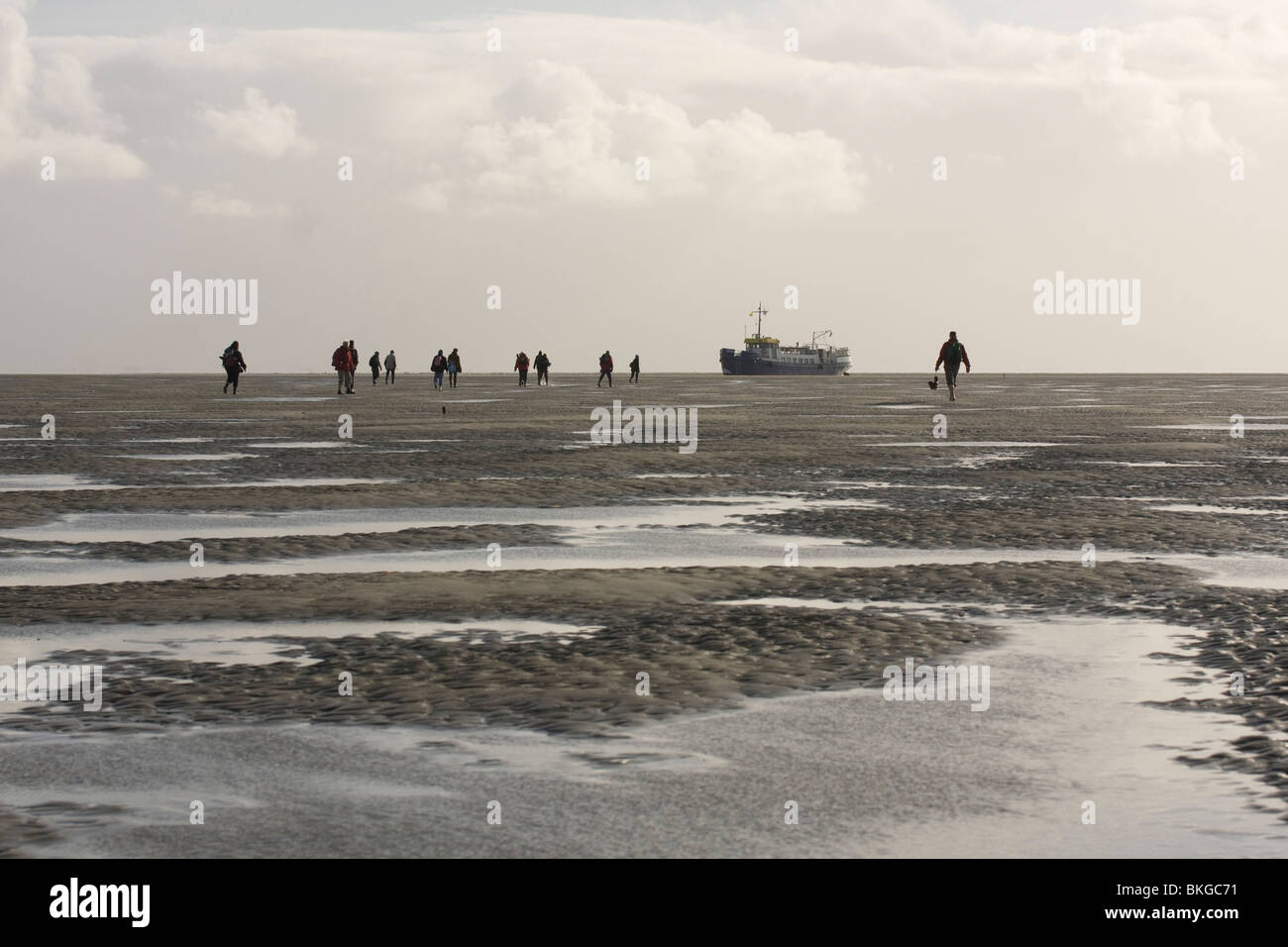 Los participantes de una excursión a Rottumeroog caminando de regreso al barco en la arena plana para abandonar la isla en marea alta. Foto de stock