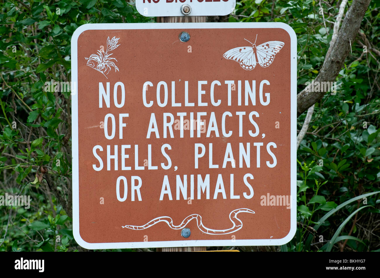 Aviso: conservación Everglades, Florida, EE.UU. Foto de stock