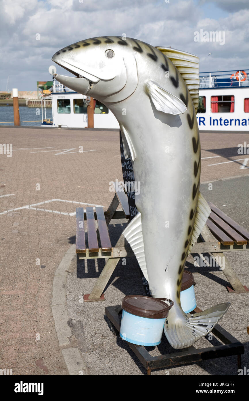 Modelo de pescado, Puerto Oudeschild, Texel, Holanda Fotografía de stock -  Alamy