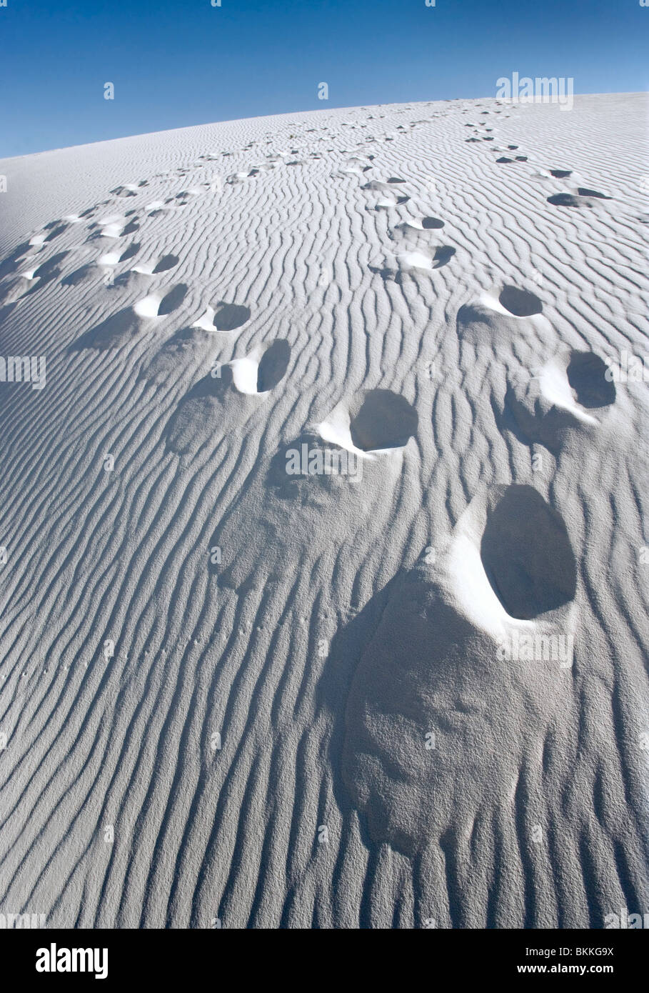 Huellas en una gran duna de arena blanca en el Monumento Nacional de White Sands, Nuevo México. Foto de stock