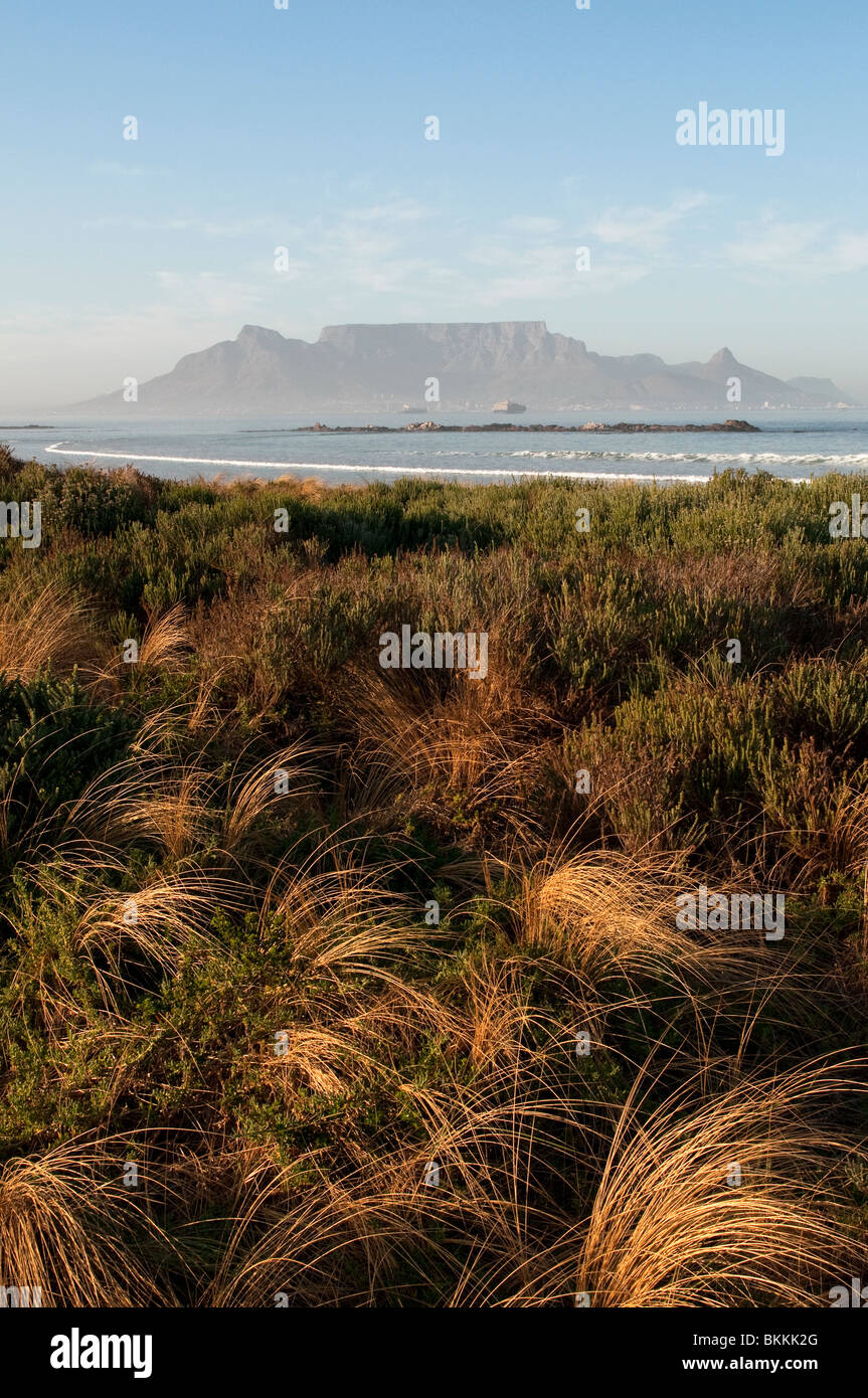 Vista espectacular de la Montaña de la mesa desde la playa de Blouberg al amanecer. Ciudad del Cabo, Sudáfrica Foto de stock