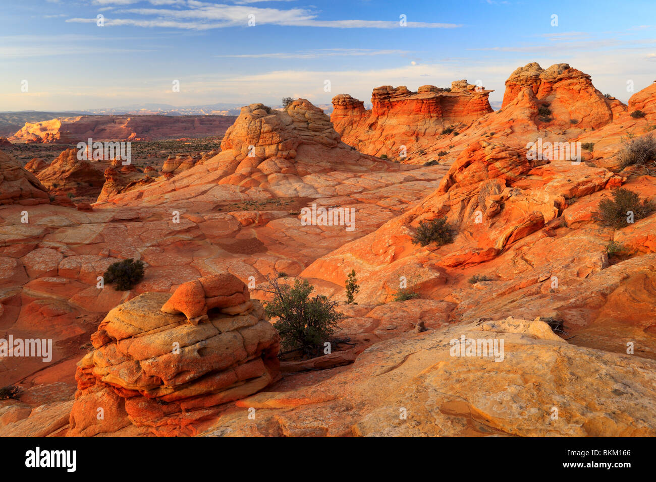Formaciones rocosas en el Vermilion Cliffs National Monument, Arizona Foto de stock