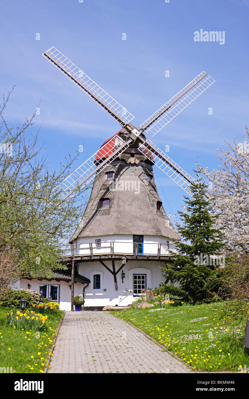 El molino de viento en Klein, Mar Báltico Groedersby Fjord Schlei, Schleswig-Holstein, en el norte de Alemania Foto de stock