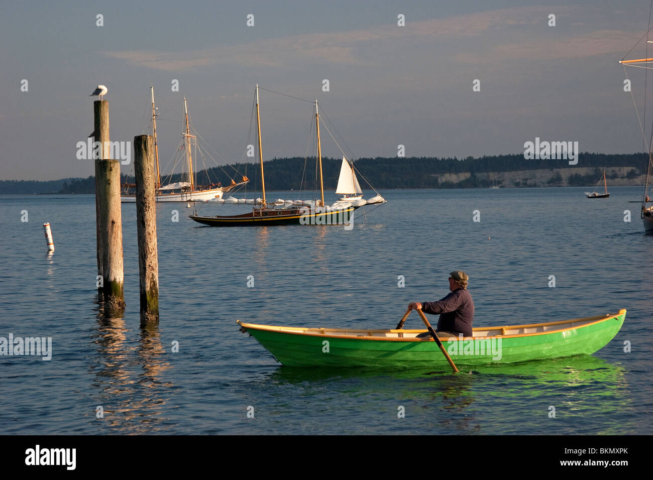 Hombre en barca de remos en la bahía con velero Foto de stock
