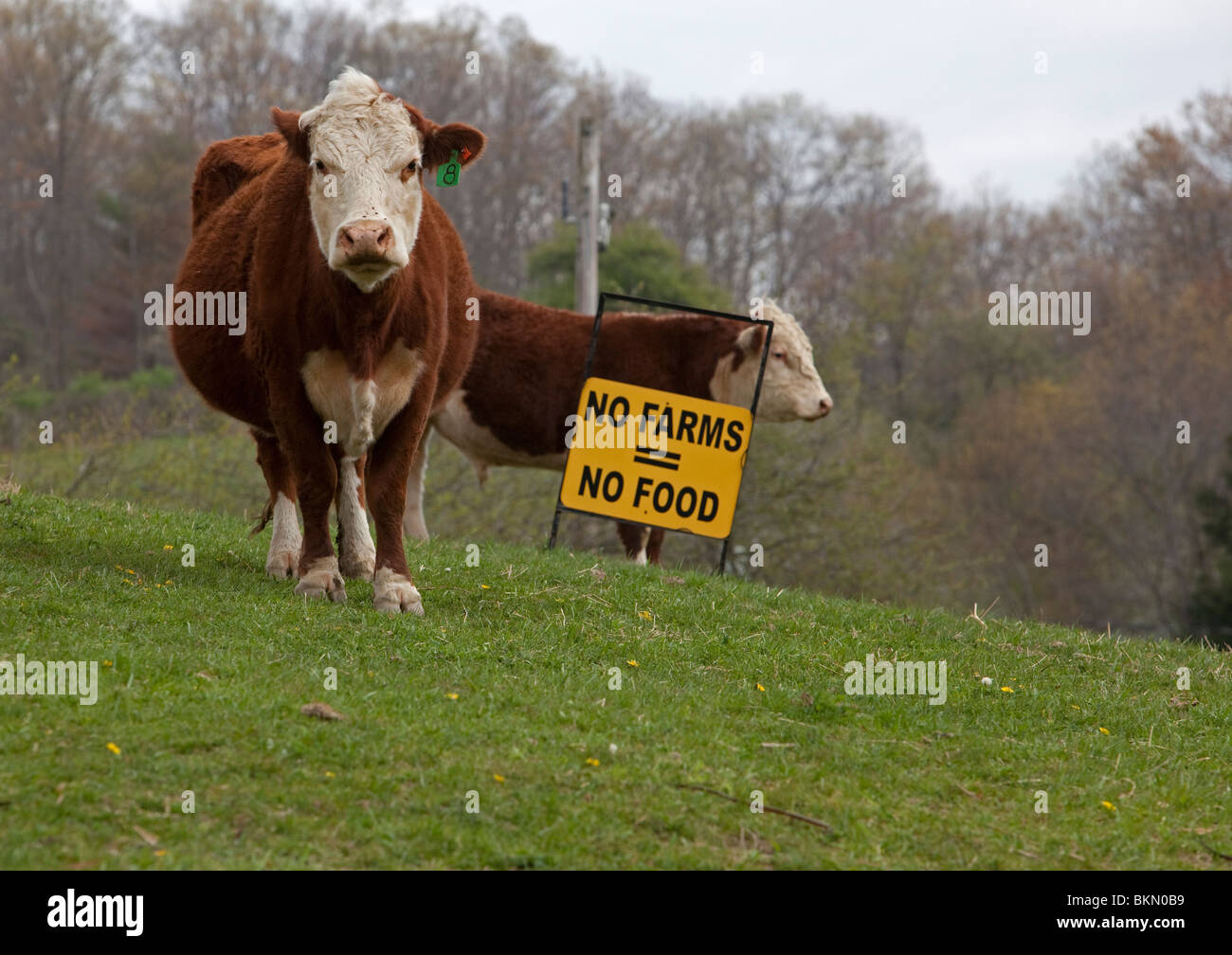 Dameron, West Virginia - Un signo en una pastura en una pequeña granja de Virginia Occidental promueve la agricultura. Foto de stock