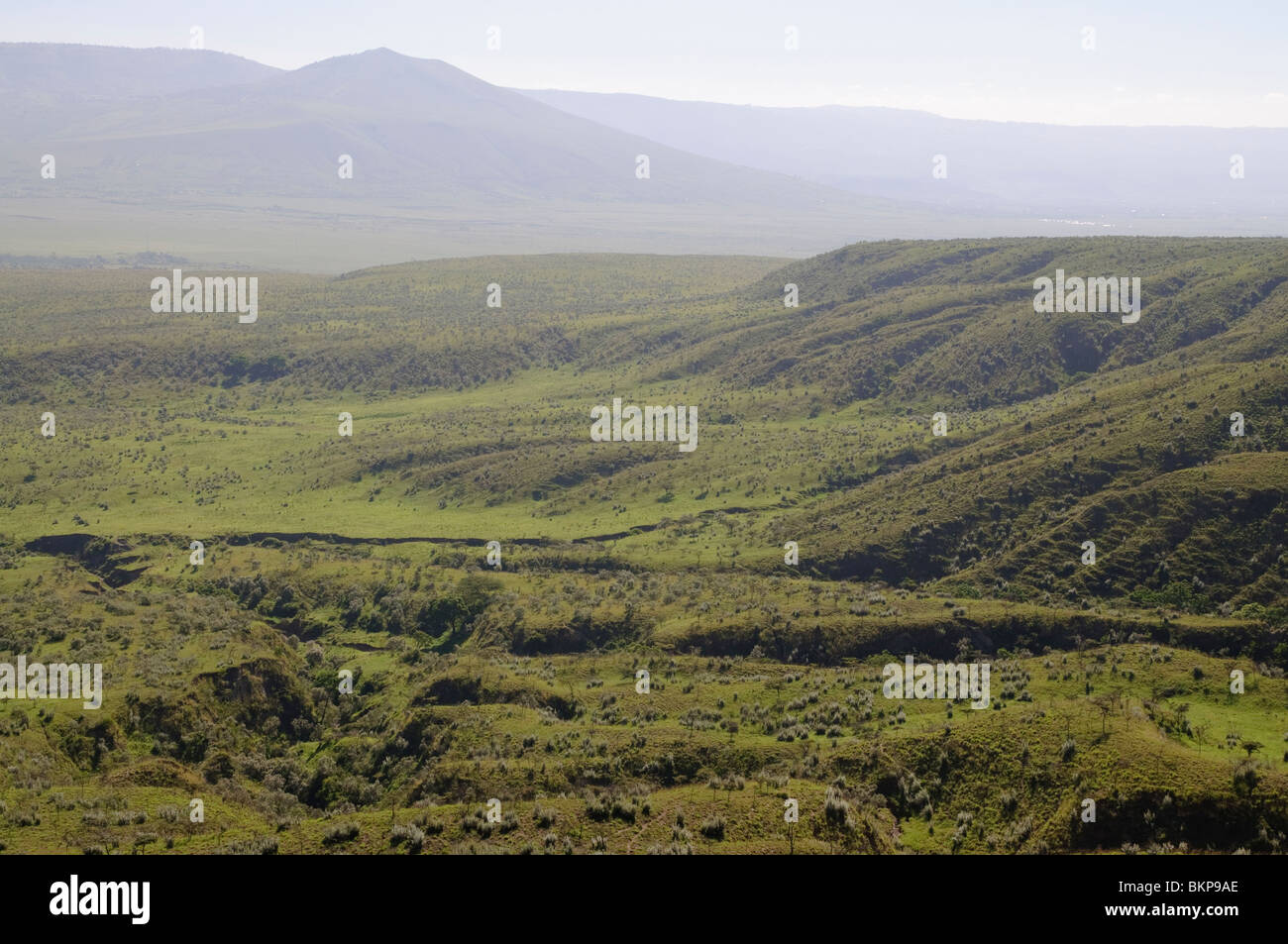 Terrenos verdes en el ondulado paisaje de monte Longonot National Park, Kenia Foto de stock
