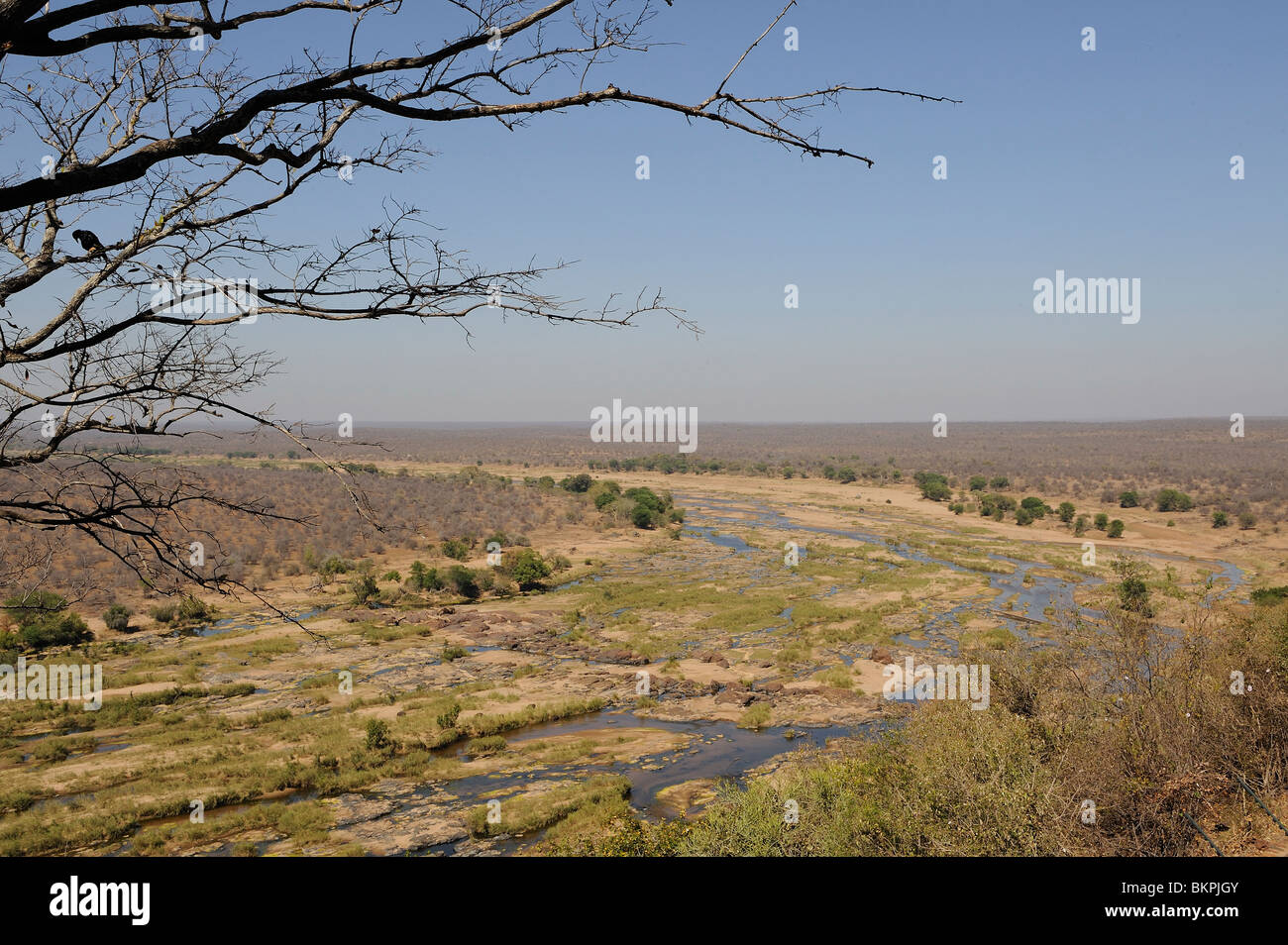 El Afrikaans rivierenlandschap, paisaje de río africano Foto de stock