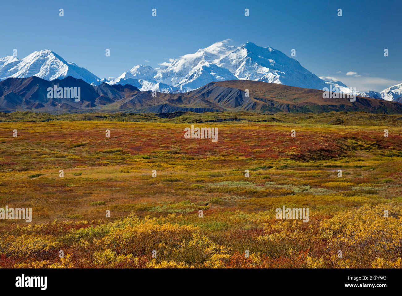 Vista panorámica del monte McKinley.Desde Grassy Pass con colorido otoño tundra en primer plano, el Parque Nacional Denali, Alaska Foto de stock