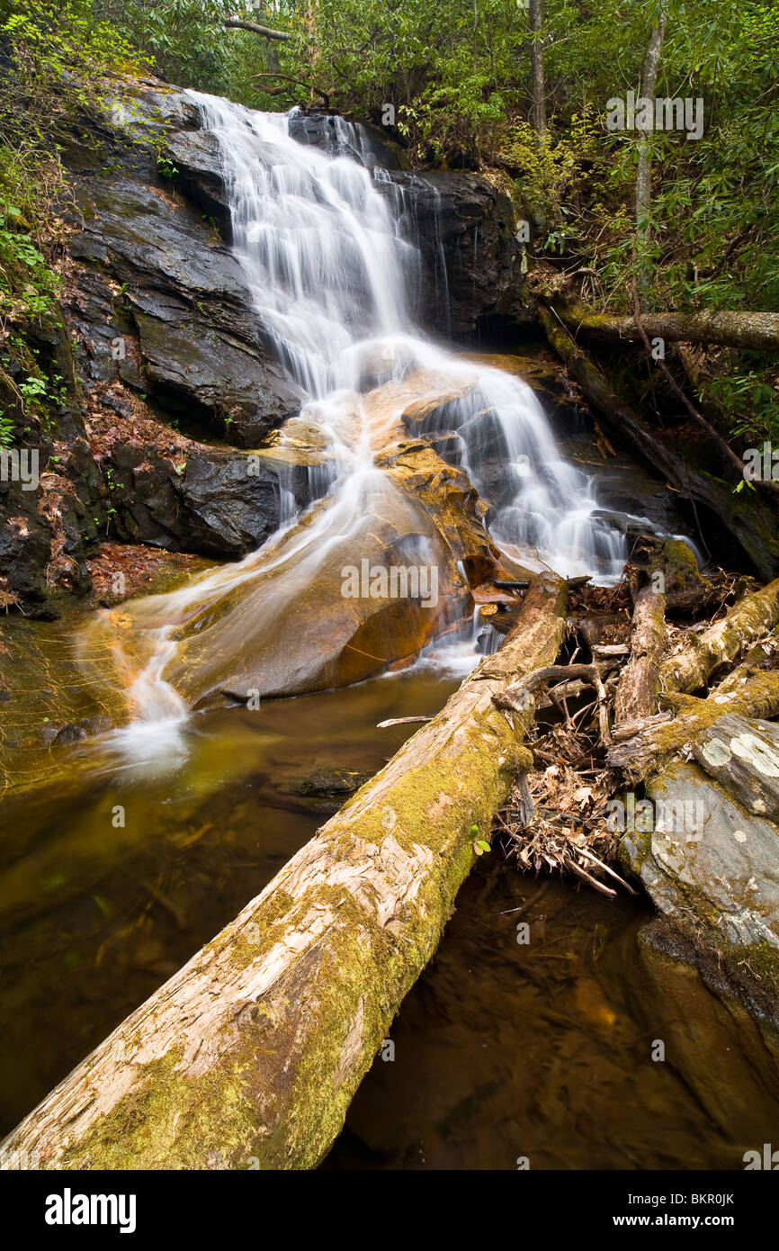 Log hollow cataratas están ubicadas fuera de Brevard, Carolina del Norte. El son de aproximadamente 20 pies de altura y muy fotogénico debido a las formaciones geológicas. Se accede a ellos a través de un camino forestal local en el área. Foto de stock