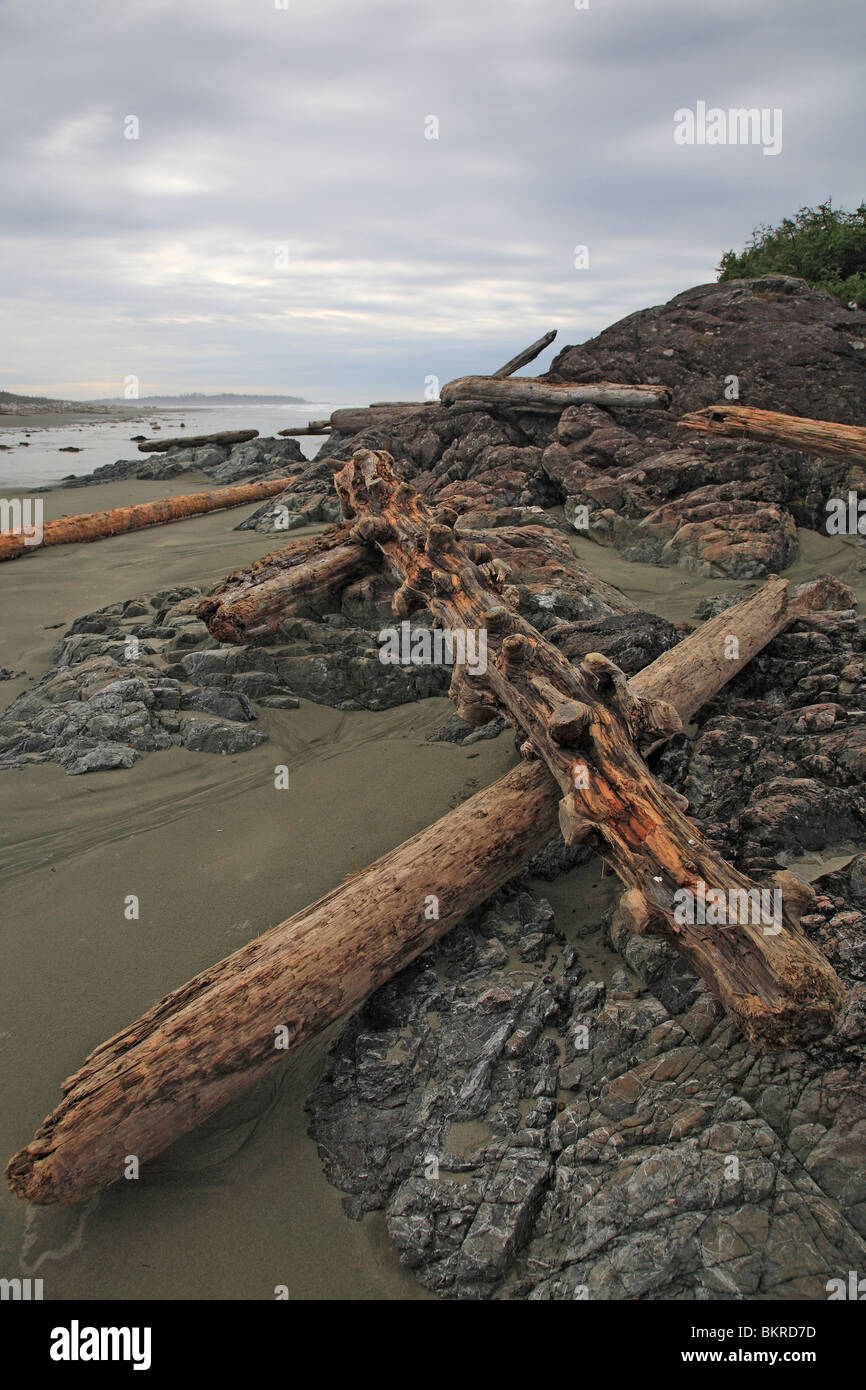 Driftwood, Long Beach, Pacific Rim, la Reserva del Parque Nacional de