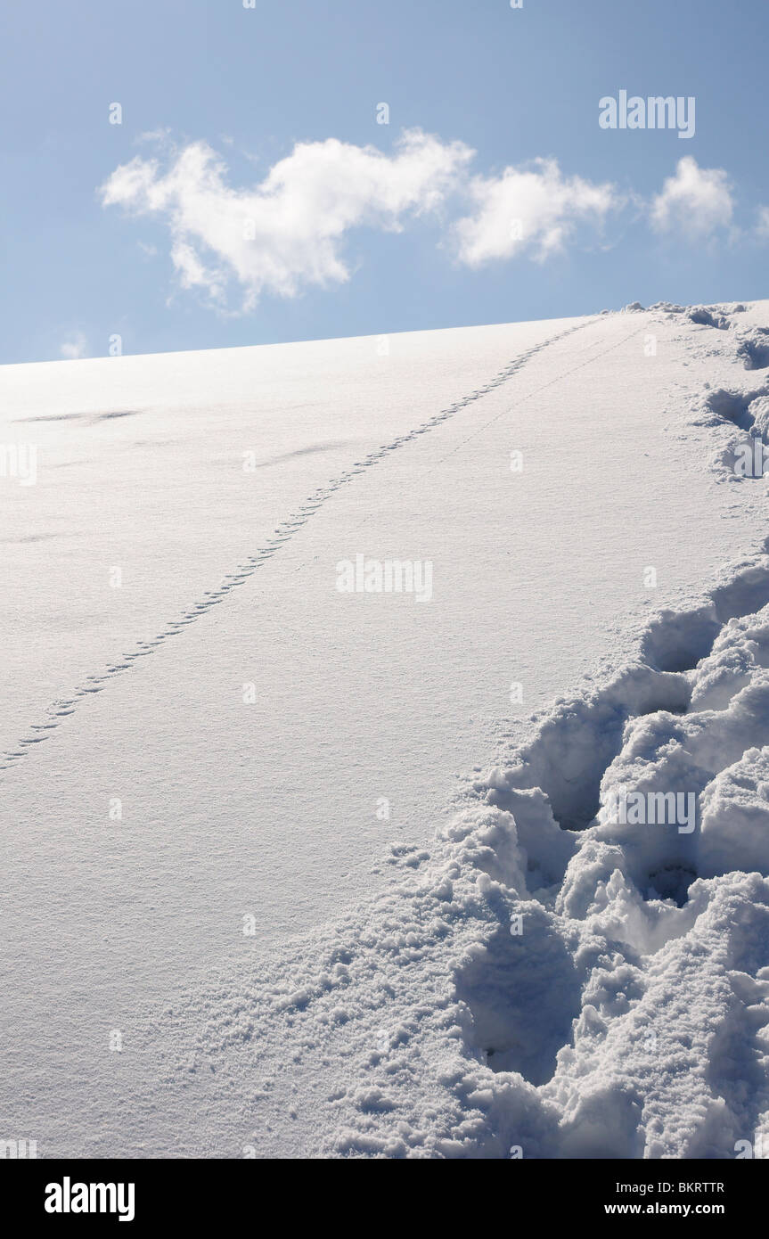 Escena de Invierno, huellas en la nieve, colina, nube, Fužine, Gorski Kotar, Croacia, Europa Foto de stock