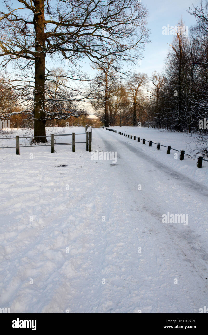 Un sendero cubierto de nieve con una valla Foto de stock