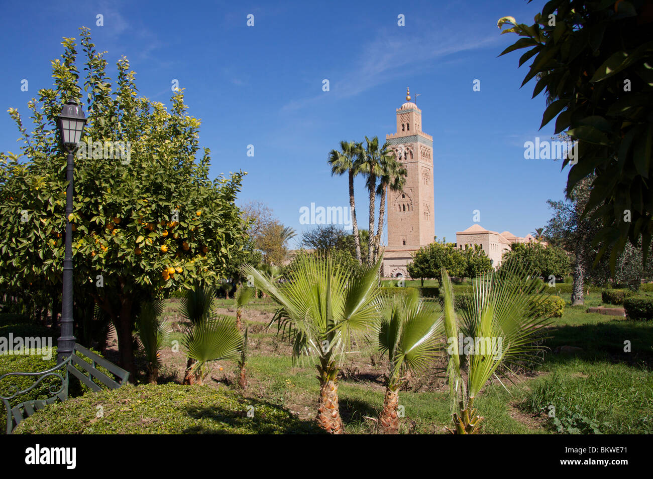 La mezquita Koutoubia y el minarete de la Koutoubia jardines con palmeras, naranjos, lámpara de sobremesa y con un cielo azul Foto de stock