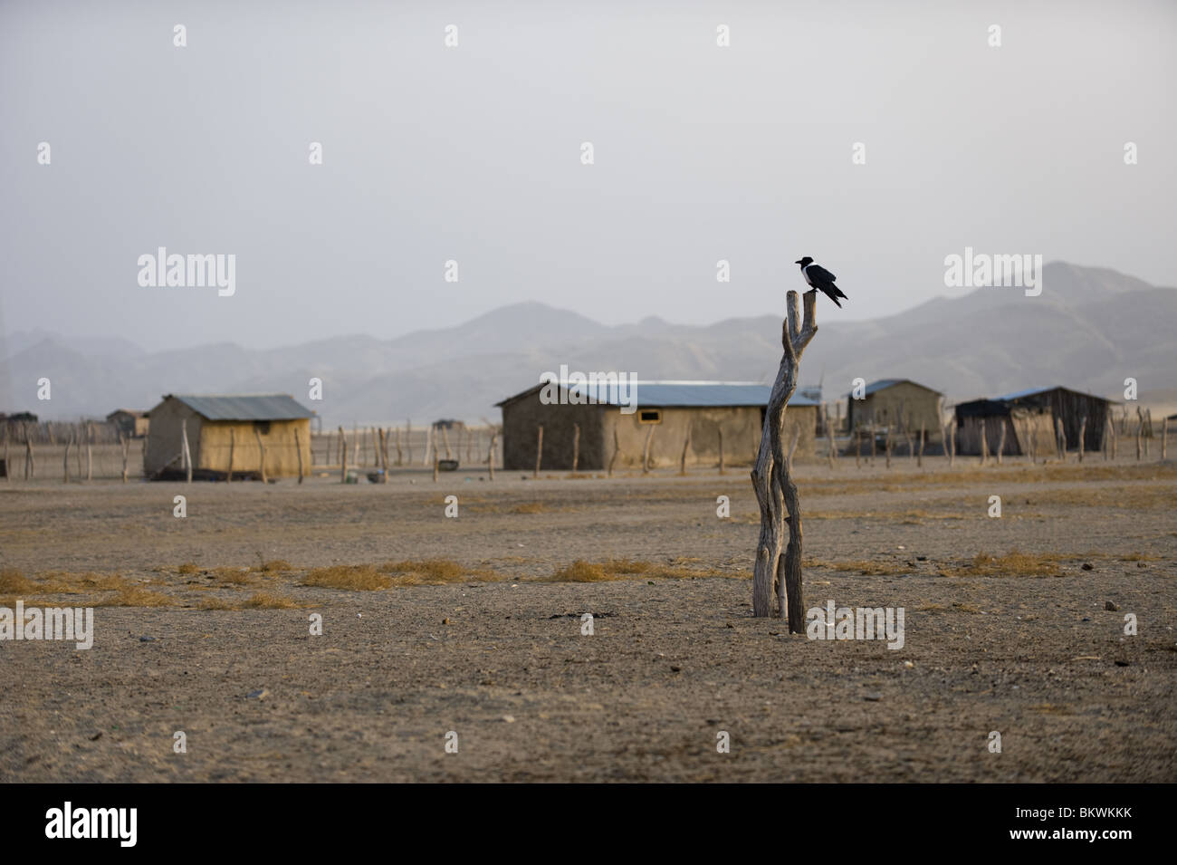 Pueblo Purros, Kaokoland, región Kunene, Namibia. Foto de stock