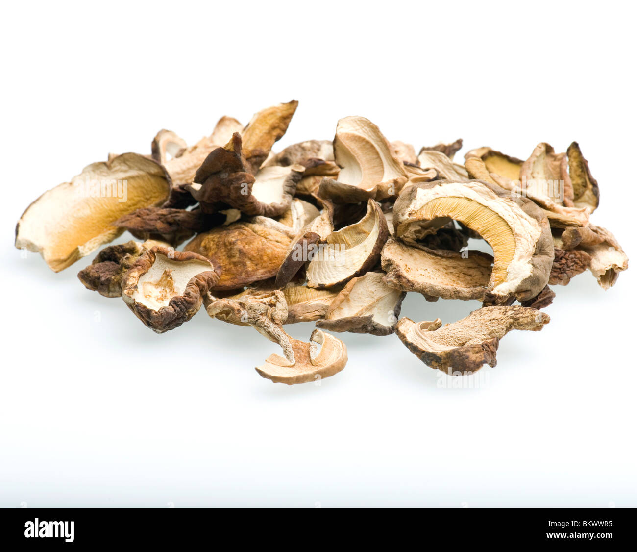 Hongos porcini fotografías e imágenes de alta resolución Alamy