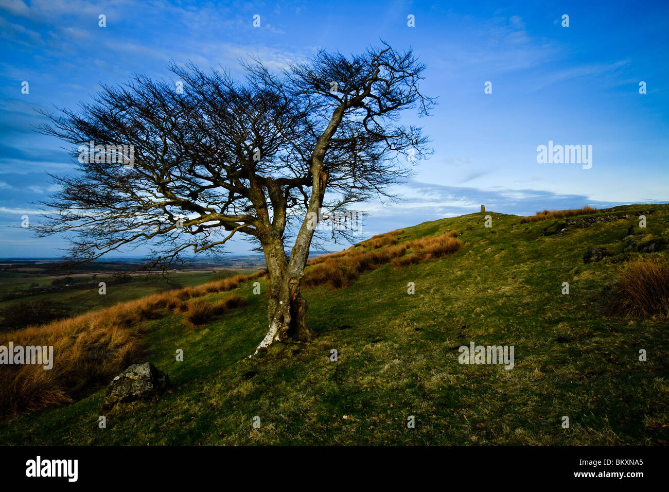 Batalla de loudoun hill fotografías e imágenes de alta resolución Alamy