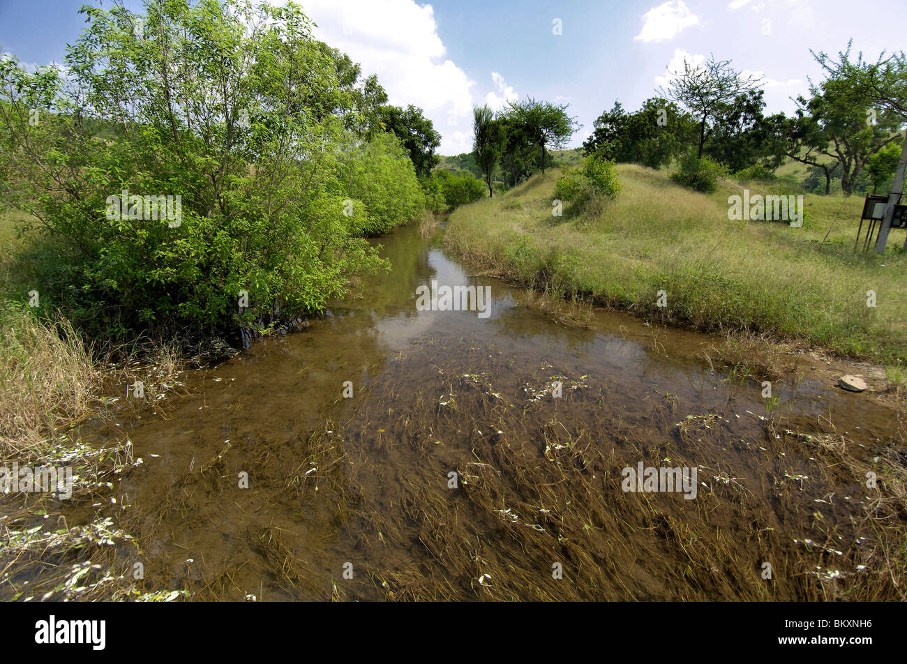 Cuele el agua procedente del depósito para riego en Ralegan Siddhi cerca de Pune ; ; Maharashtra India Foto de stock