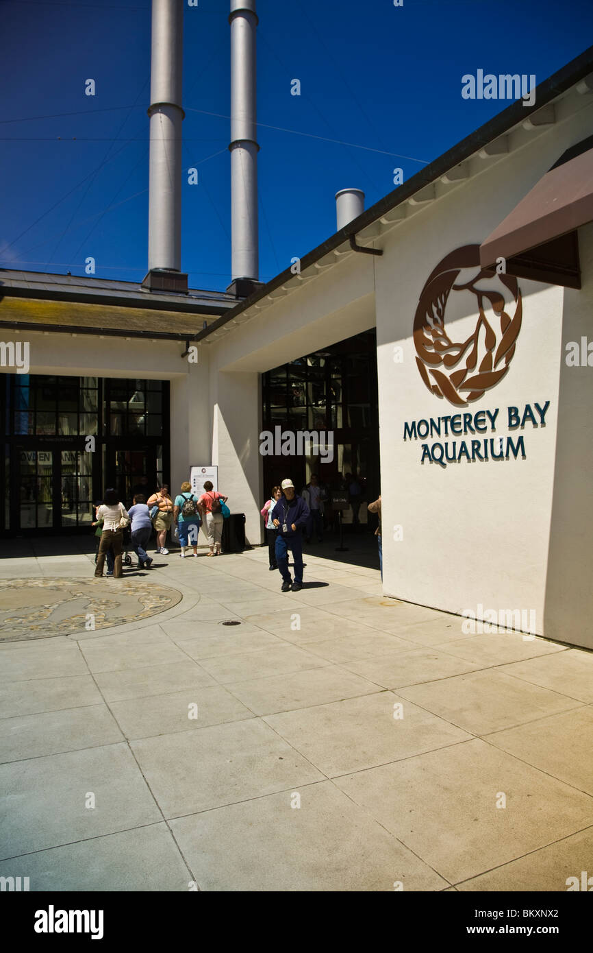 Monterey Bay Aquarium es el hogar de más de 30.000 aves de criaturas marinas de mamíferos y plantas Foto de stock