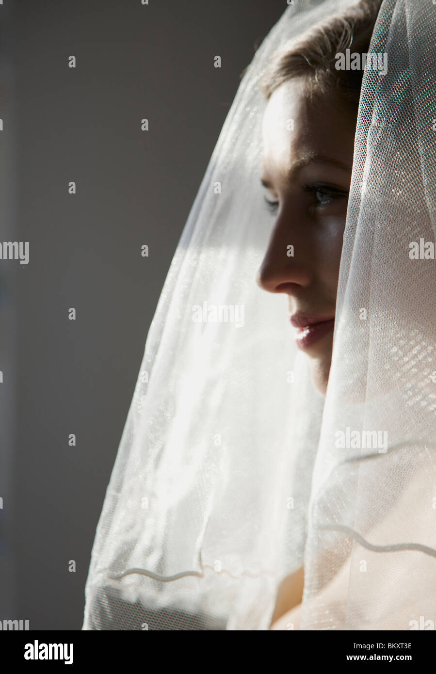 Perfil de una novia llevando un velo - cerrar Fotografía de stock - Alamy