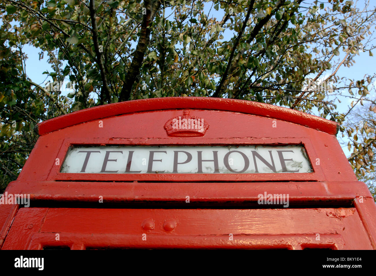 Techo de un rojo cuadro Teléfono BT British Telecom. Las ramas de un árbol son en el fondo Foto de stock