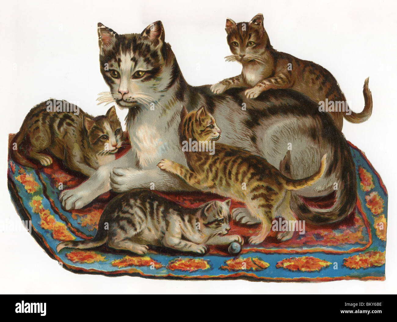 La mamá gata y sus gatitos juguetones Fotografía de stock - Alamy