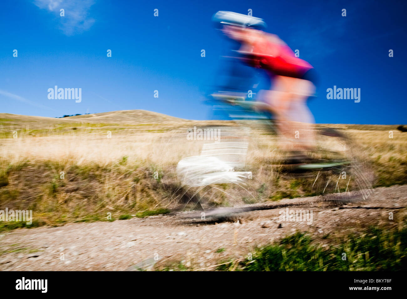 Un ciclista de montaña femenino pedales el rastro en Mt. Sentinel, Missoula, Montana. Foto de stock
