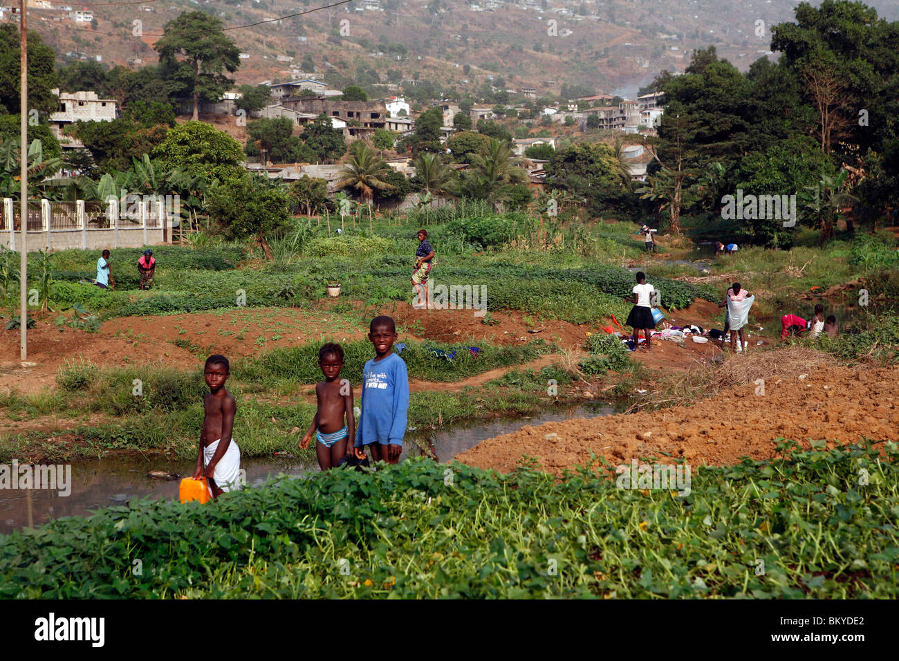 Las habilitaciones y los cultivadores de hortalizas, Freetown, Sierra Leona, África occidental Foto de stock