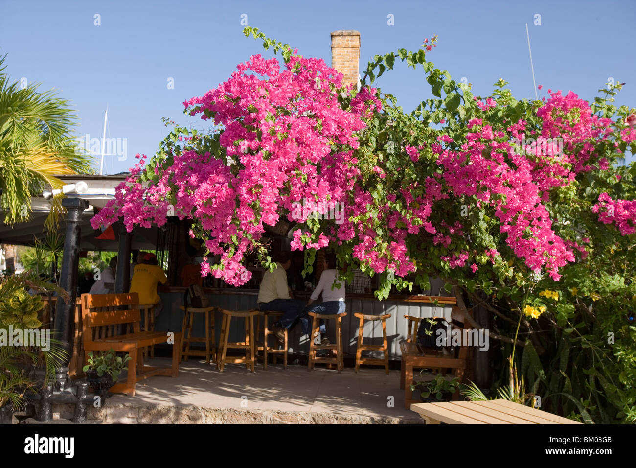Un Bar Cubierto De Buganvillas Nelson S Dockyard English Harbour Antigua Fotografia De Stock Alamy Un Bar Cubierto De Buganvillas Nelson S Dockyard English Harbour Antigua Fotografia De Stock Alamy