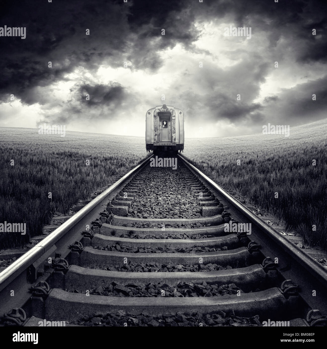 Vista trasera de un tren sobre los rieles que pasa a través de un campo de maíz con cielo tormentoso Foto de stock