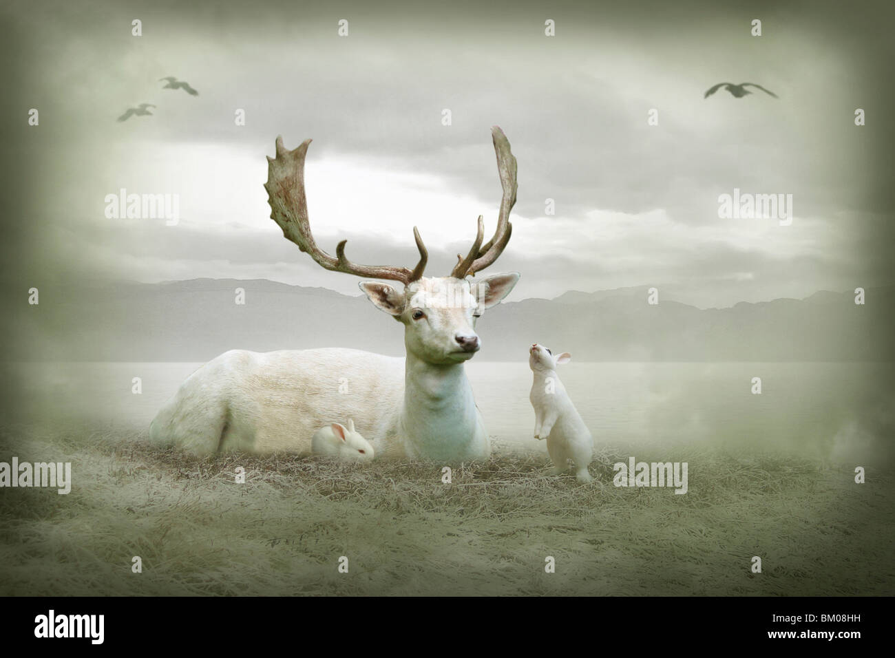 El ciervo blanco sentado con conejos blancos Foto de stock