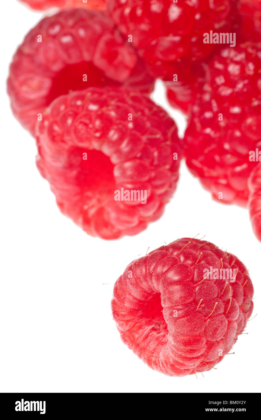 Raspberry aislado sobre un fondo blanco puro Foto de stock