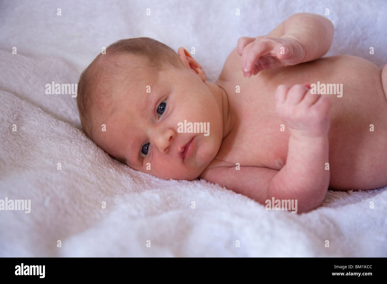 Bebé recién nacido caucásico inglés hembra blanca niña hermosa neonato Foto de stock