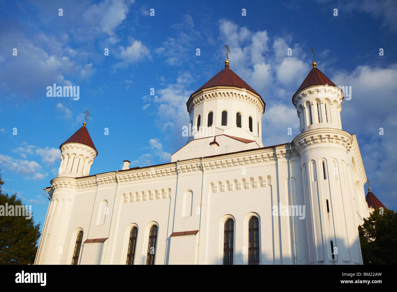 Iglesia de la santísima Madre de Dios, Vilna, Lituania, Países Bálticos, Europa Foto de stock