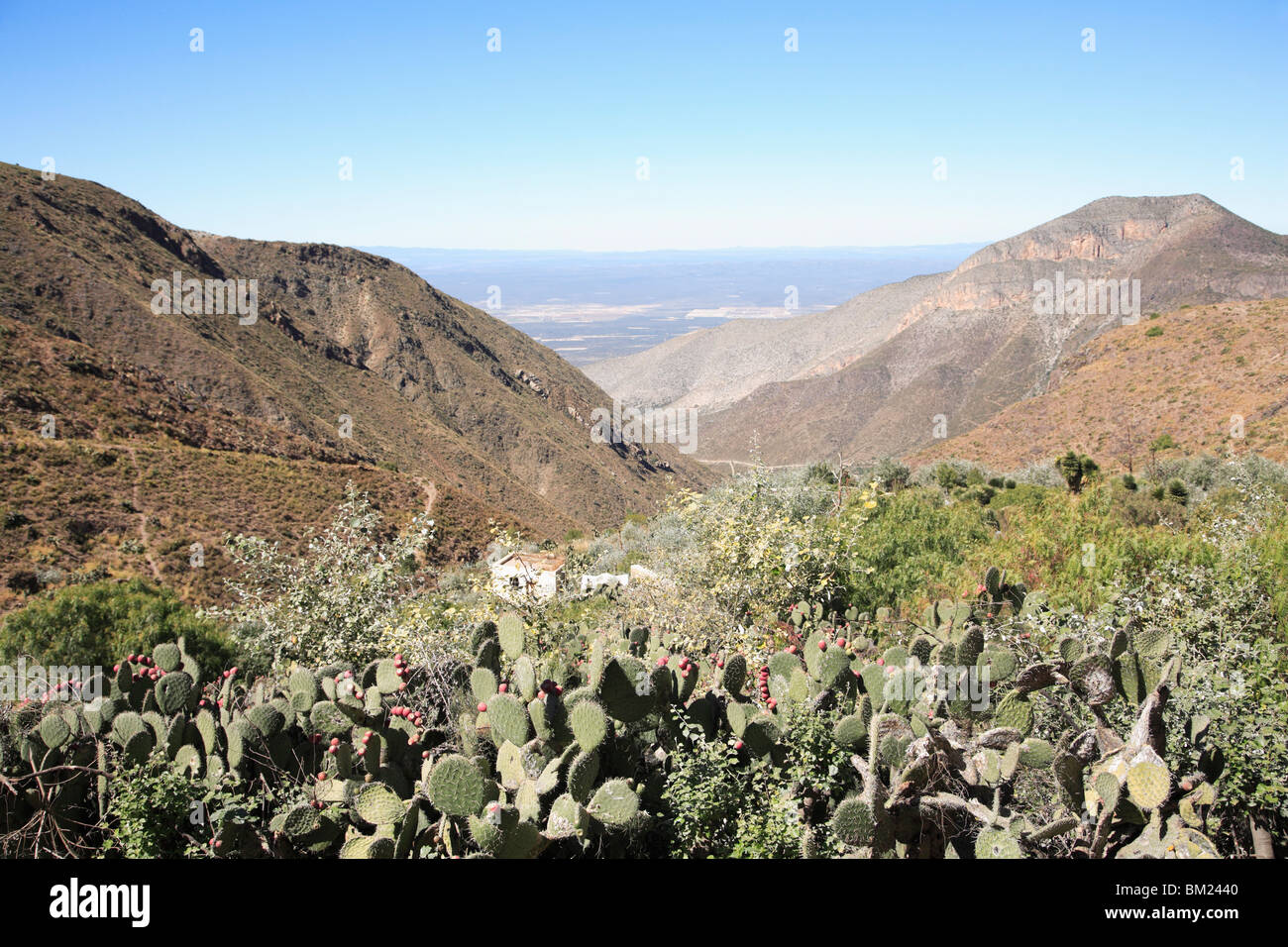 Real de Catorce, las montañas de la Sierra Madre Oriental, el estado de San Luis Potosí, México, América del Norte Foto de stock
