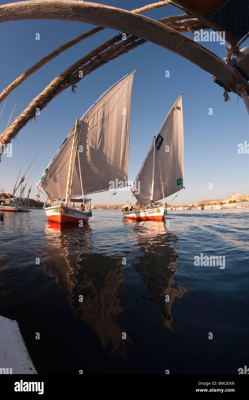 Feluchos navegando por el río Nilo, cerca de Asuán, Egipto Foto de stock