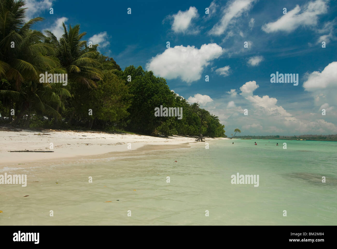 Una playa virgen, Havelock Island, Las Islas Andamán, India, el Océano Índico Foto de stock