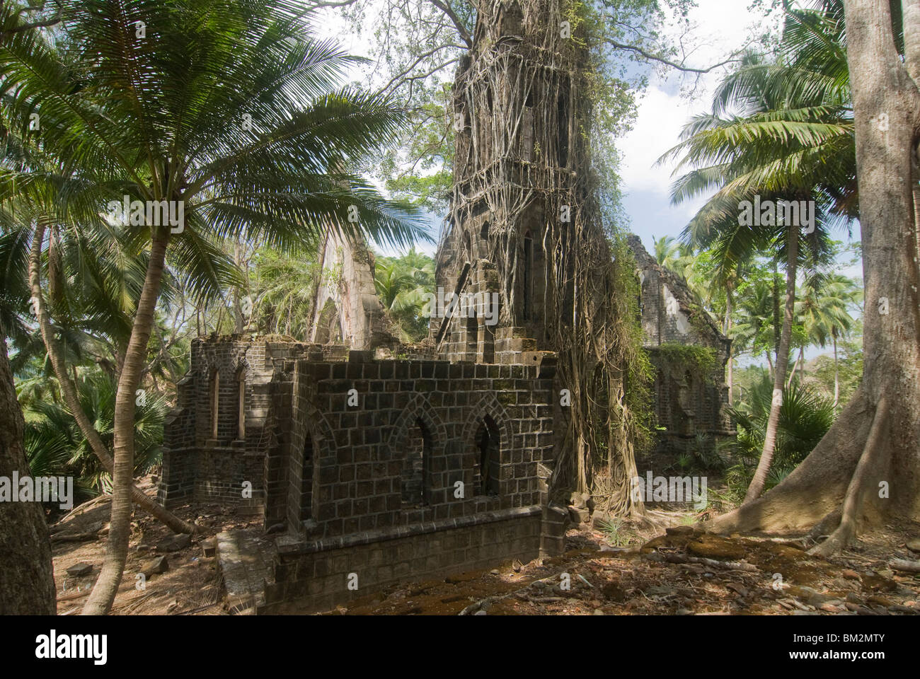 Iglesia cubierto con grandes raíces, Isla de Ross, Las Islas Andamán, India Foto de stock