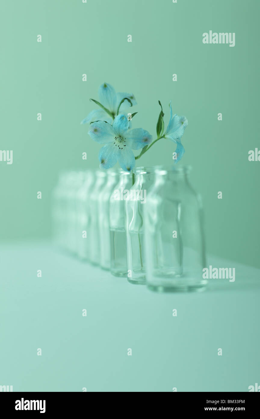 Fila de botellas de cristal vacías, uno con flor, fondo verde, enfoque suave Foto de stock