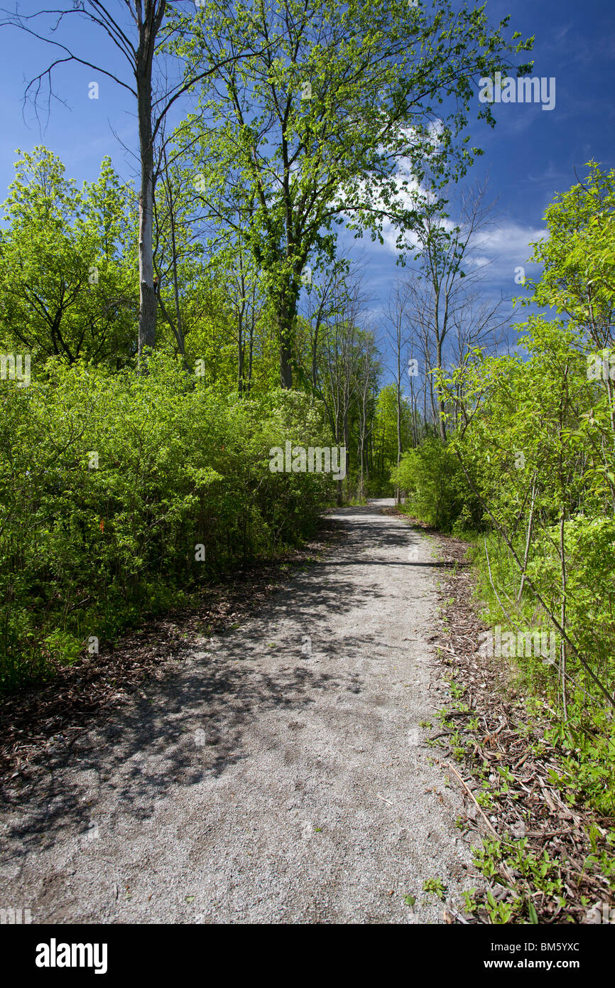 Humbug Marsh Unidad de Detroit River International Wildlife Refuge Foto de stock