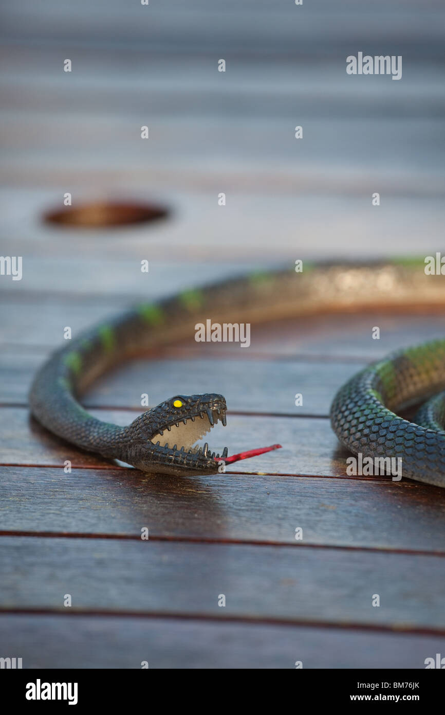 Serpiente de goma Foto de stock