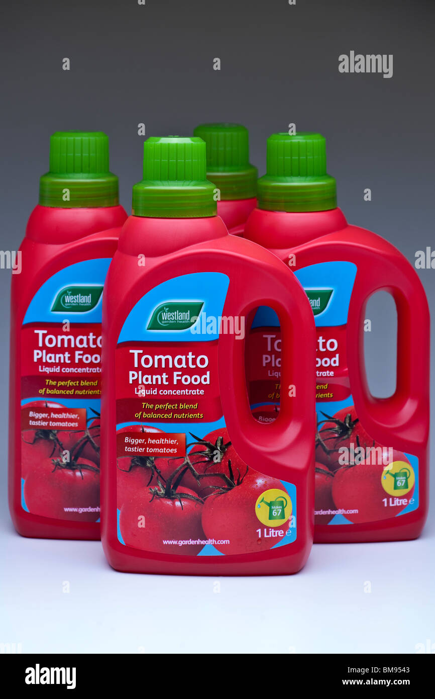 Cuatro contenedores de plástico de 1 litro de Westland tomate alimentos vegetales Foto de stock