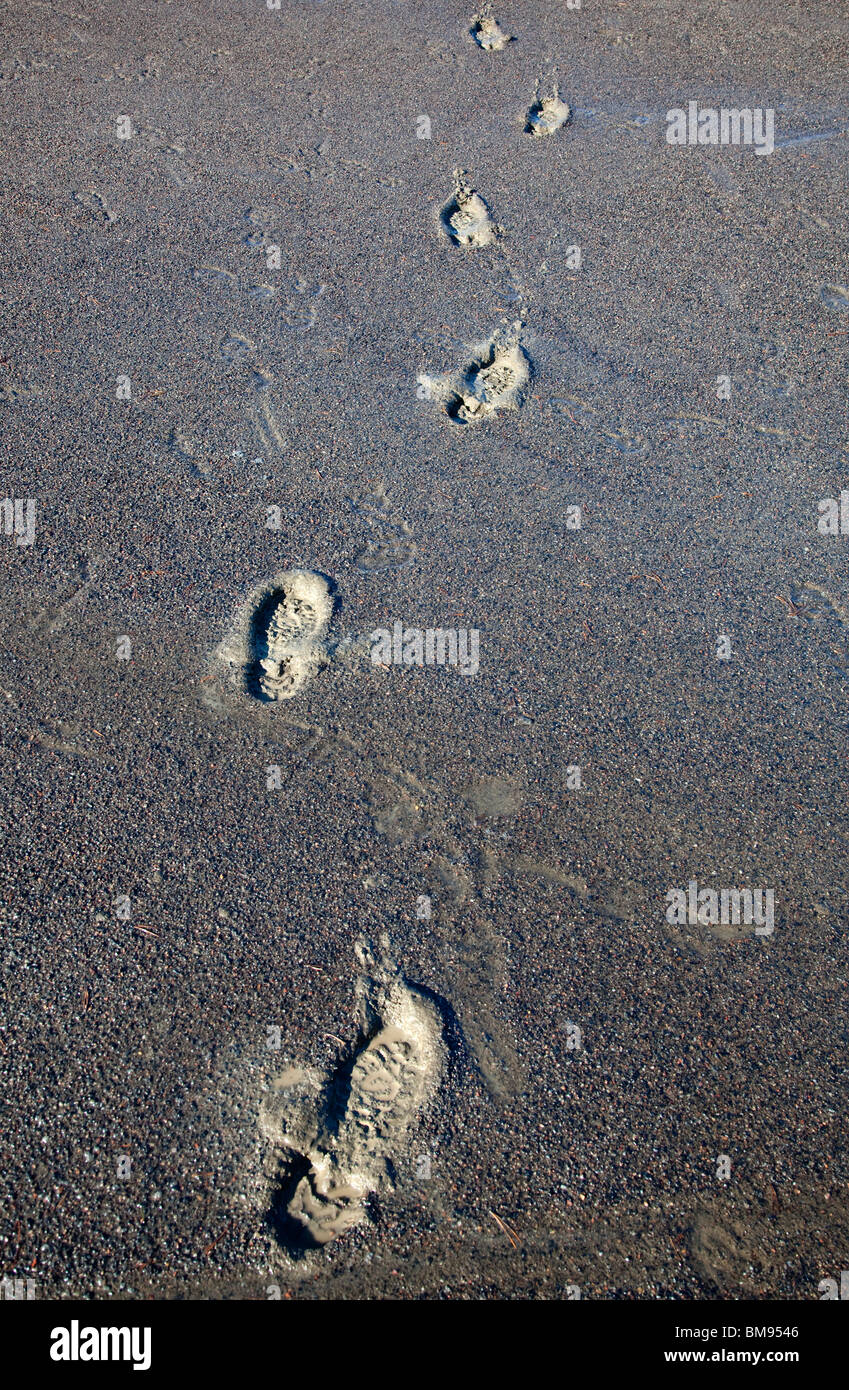 Huellas de calzado humano en suelo fangoso , suave y húmedo , Finlandia Foto de stock