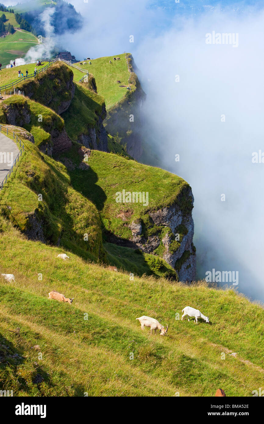 El paisaje de los alpes con cabras en las montañas. Foto de stock