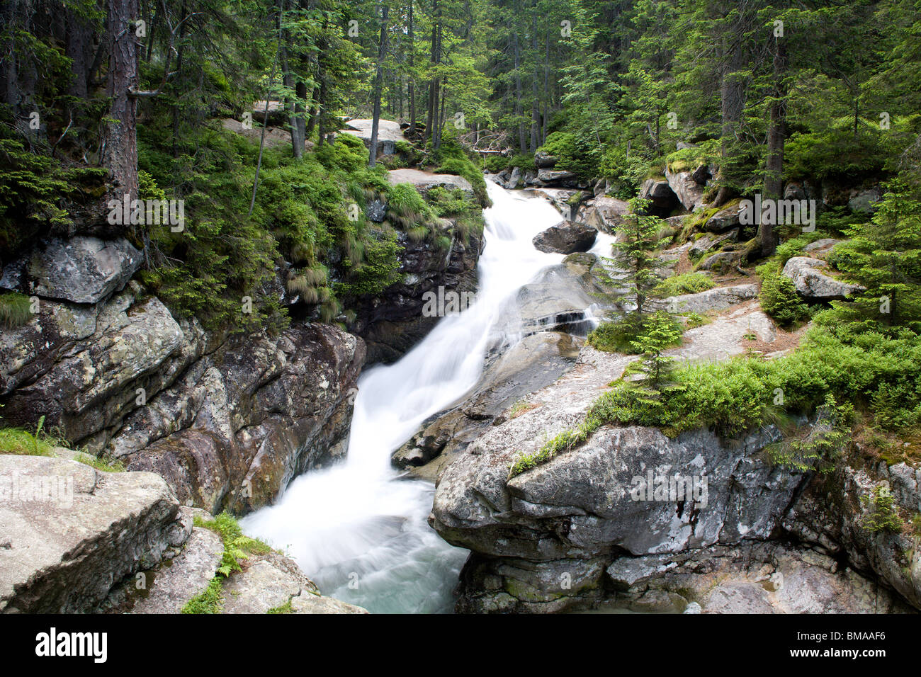 -High Tatras Studenovodske cascadas - Eslovaquia Foto de stock