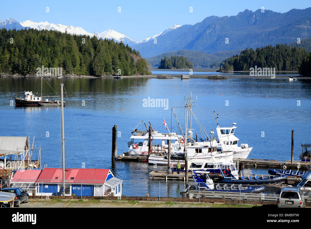 Tofino, Vancouver Island, British Columbia, Canadá Foto de stock